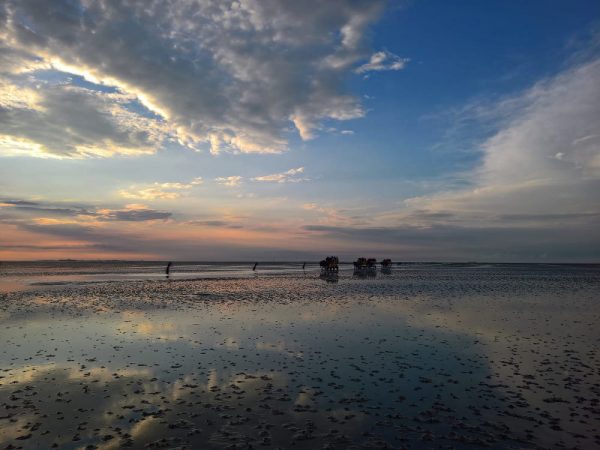 Berlin Nordsee 7 schöne Kurztrips ans Watt