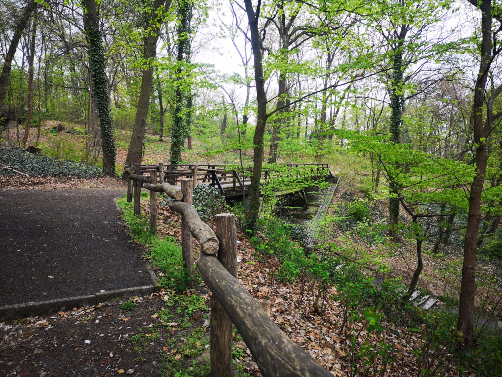 Park Ruhwald Wege
